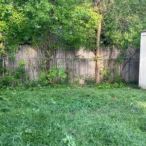 Bush Trimming by B and B Landscaping reviewed on August 21, 2025