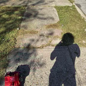 Leaf Removal by Top Flight Lawn reviewed on September 8, 2025