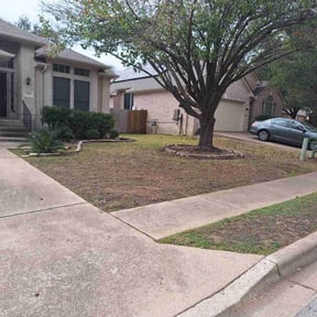 Leaf Removal by E-maculate Lawn  Care LLC reviewed on January 16, 2026