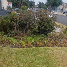 Flower Bed Weeding by Roadrabbits trucking llc reviewed on July 8, 2026