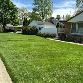 lawn service by Felix Alejos reviewed on July 23, 2025