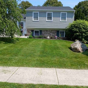 lawn care by Tyler reviewed on August 17, 2025