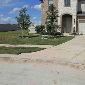 Leaf Removal by Father and son handyman reviewed on August 13, 2021