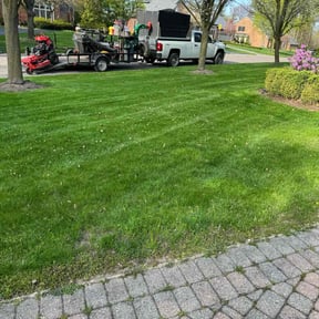 residential landscaping by Krispy Kutz LLC reviewed on August 21, 2025