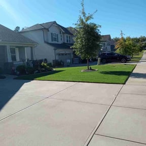 landscaping services by Mowtown lawn grooming reviewed on December 16, 2025