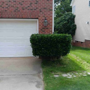 Bush Trimming by Double F Lawns reviewed on August 18, 2025