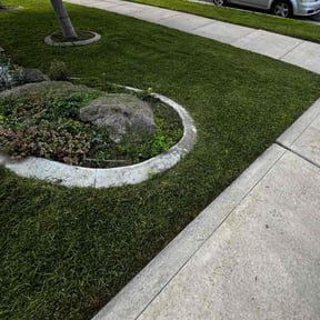 landscape maintenance by Matus lawncare reviewed on August 16, 2025