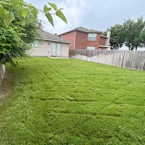 residential landscaping by Gulf Coast Terra Development reviewed on August 9, 2021