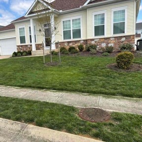 yard work by Elite Services reviewed on August 13, 2025
