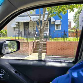 Bush Trimming by Just us landscaping LLC reviewed on August 19, 2025