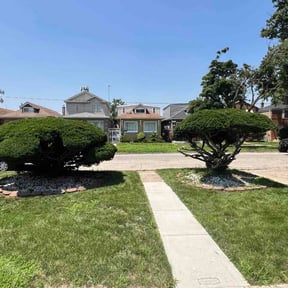 Bush Trimming by Drewskeedoos Landscaping reviewed on July 10, 2026