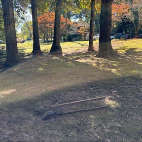 Leaf Removal by Cre8tive Art&#039;s Work LLC Lawn Care &amp; Property Preservation reviewed on October 22, 2025