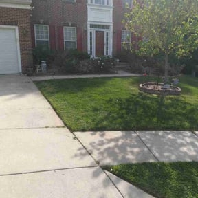 lawn maintenance by The guy property maintenance reviewed on August 17, 2025