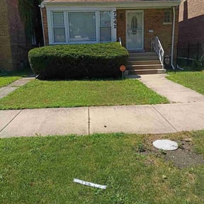 Bush Trimming by Medina Property Maintenance reviewed on October 19, 2025