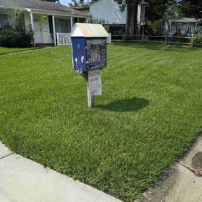 grass maintenance by Che's lawn an remodeling service s reviewed on May 18, 2024