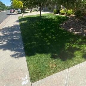 yard work by Loveladys Lawn Care reviewed on April 29, 2025