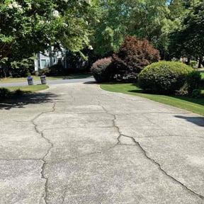 yard service by HITT Exteriors reviewed on September 16, 2025