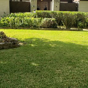 Bush Trimming by Kemp Signature Cuts reviewed on November 18, 2025