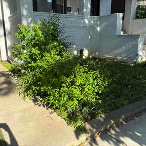 Bush Trimming by Stephen's Lawn Mowing reviewed on May 28, 2026