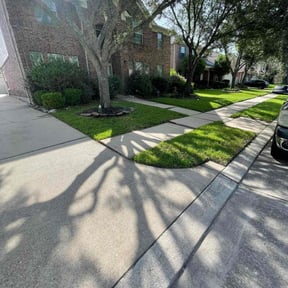 yard care by Jose Lawn service reviewed on August 21, 2025
