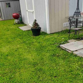 yard care by E Mow Lawn Care LLC reviewed on August 17, 2025