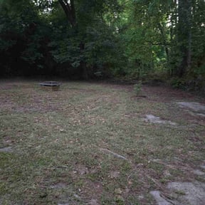 Leaf Removal by RS lawn care reviewed on August 20, 2025