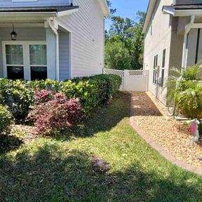 Bush Trimming by Pro Green Landscape L L C reviewed on August 16, 2025
