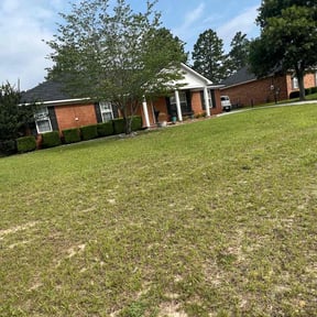 Bush Trimming by Donald Austile Lawn Care reviewed on August 18, 2025
