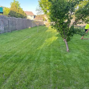 gardening service by Pt contracting reviewed on August 21, 2025