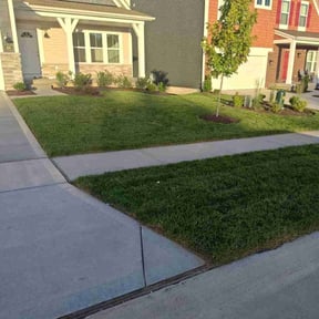 gardening service by Ramiro&#039;s Lawn Care reviewed on July 4, 2025