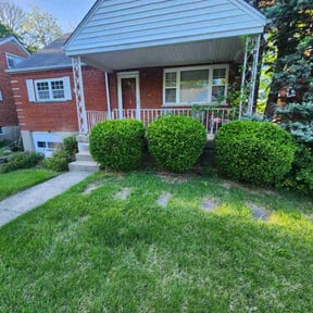 Bush Trimming by First Choice Landscaping of St Augustine reviewed on August 14, 2025