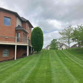 lawn maintenance by Official tycoon lawns reviewed on March 21, 2024