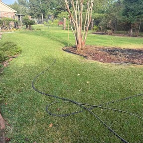 Flower Bed Weeding by DB Yard Upgrade reviewed on November 20, 2025