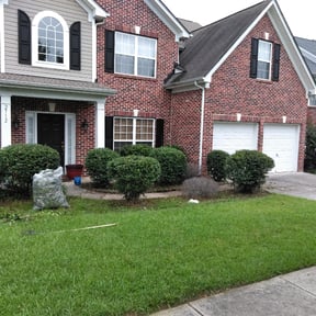 Bush Trimming by Jose Landscaping. reviewed on August 21, 2025