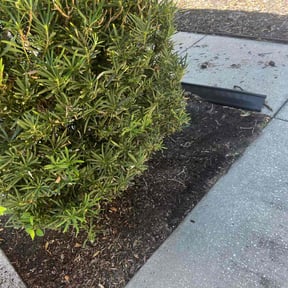 Flower Bed Weeding by JP Landscape reviewed on August 14, 2025