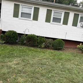 Bush Trimming by Tubby’s lawn service LLC reviewed on July 31, 2026