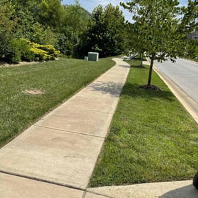 grass cutting by Jose Landscaping. reviewed on December 10, 2024