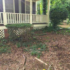 Bush Trimming by Garrison Lawn Care and  Maintenance reviewed on May 29, 2026