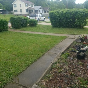 Bush Trimming by A and J Landscaping reviewed on August 15, 2025