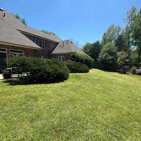 turf care by Keep it clean lawn service reviewed on May 14, 2025