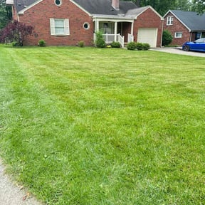 gardening service by Luxury Finish Lawn care reviewed on August 18, 2025