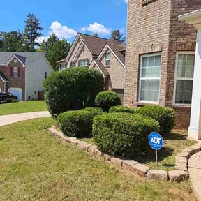 Bush Trimming by L&amp;P.inc reviewed on November 10, 2025