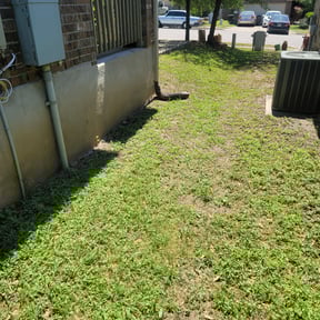 Leaf Removal by Bestway Lawn Care reviewed on August 19, 2025