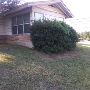 Bush Trimming by Lakeshore Home & Garden reviewed on August 17, 2025