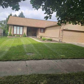 yard work by Pure Perfection Lawn Care LLC reviewed on August 14, 2025