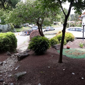 Bush Trimming by Jeremy Faulk LLC reviewed on July 1, 2022