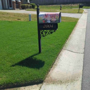 yard service by Ray Wright Lawn Care Services LLC reviewed on August 17, 2025