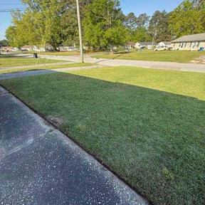 yard care by Native Landscapes Of Central Florida LLC reviewed on August 17, 2025