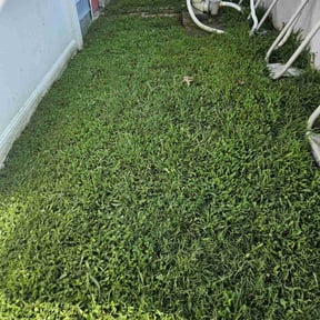 yard work by Mow & Go reviewed on August 16, 2025