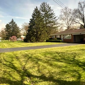 yard maintenance by Royalty lawn care reviewed on December 1, 2025